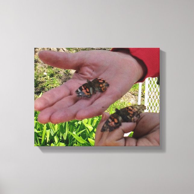 Toile enveloppée du jardin des papillons (Recto)