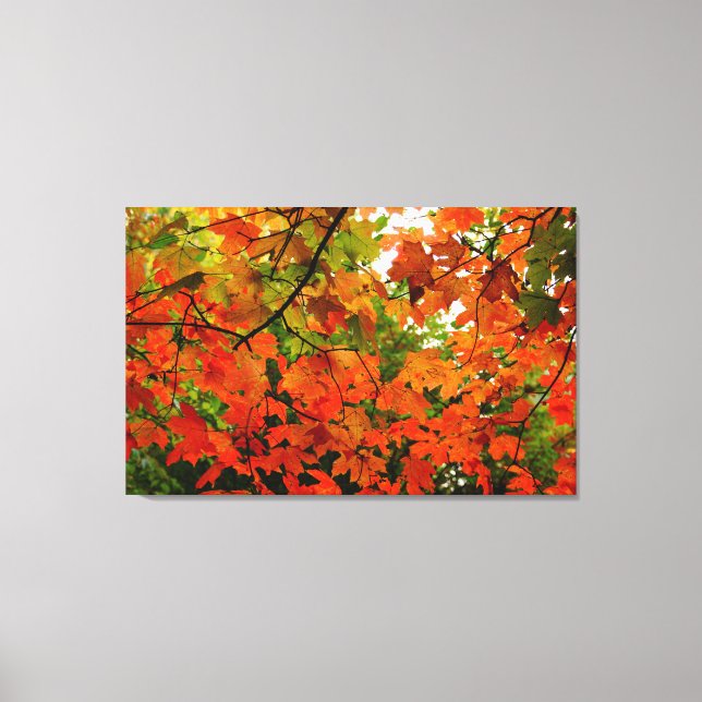 Toile Enveloppée Feuilles Automne (Recto)