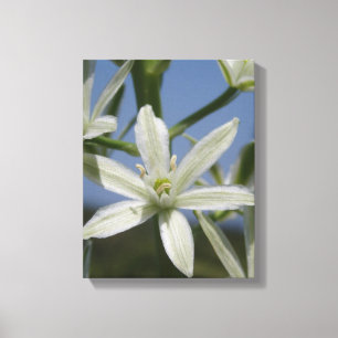 Toile Enveloppée Fleurs D'Été