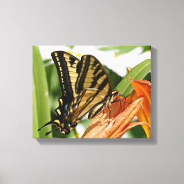 Toile enveloppée papillon