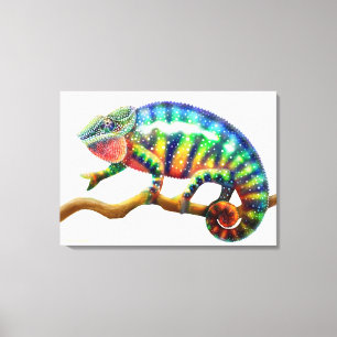 Toile enveloppée par lézard coloré de caméléo
