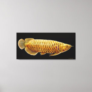 Toile enveloppée par poissons asiatiques d'Arowan