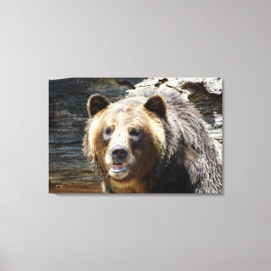 Toile enveloppée pour ours grizzli Imprimer