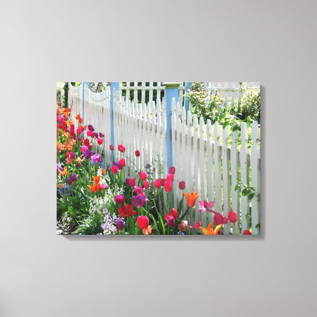 toile enveloppée tulipes jardin piquet blanc clôtu (Recto)