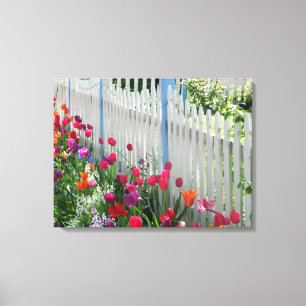 toile enveloppée tulipes jardin piquet blanc clôtu