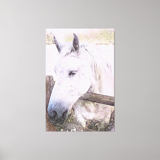 Toile *~* Equine AR22 Cheval blanc au-dessus de la clôtu (Recto)
