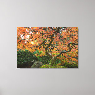 Toile Érable aux jardins japonais en automne