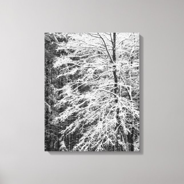 Toile Érable En Neige (Recto)