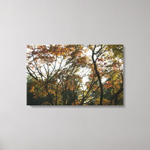 Toile Érable japonais à l'automne II