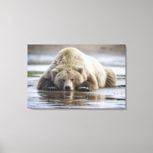 Toile États-Unis, Alaska, Parc national de Katmai, Ours 