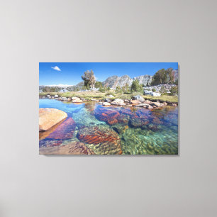 Toile États-Unis, Californie, Forêt nationale d'Inyo 4