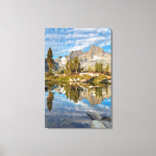 Toile États-Unis, Californie, Inyo National Forest 13
