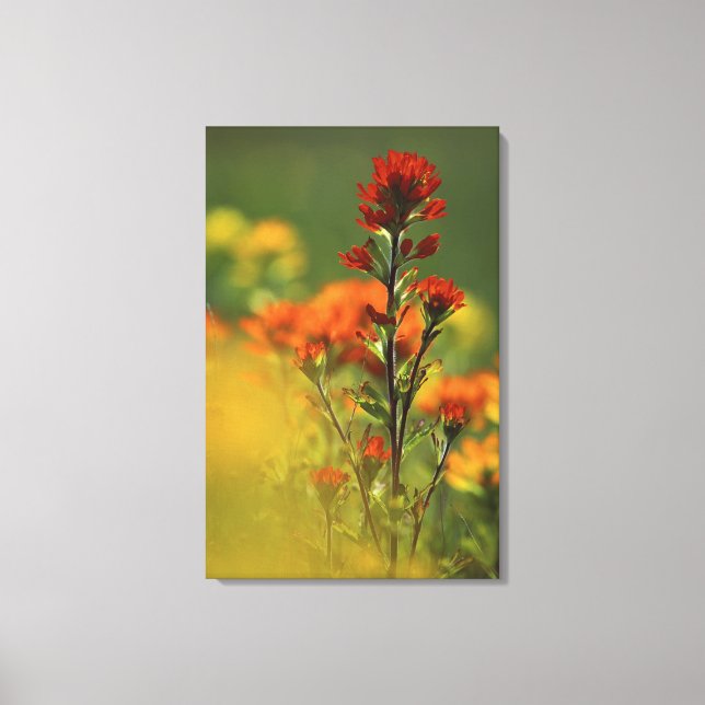 Toile États-Unis, Michigan, Drummond Island, Maxton Plai (Recto)