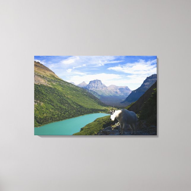 Toile États-Unis, Montana, Parc national des Glaciers, M (Recto)