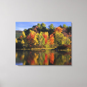 Toile États-Unis, New Hampshire, Moultonborough. Arbres