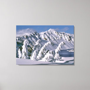 Toile États-Unis, Oregon, Crater Lake NP. Les arbres plo