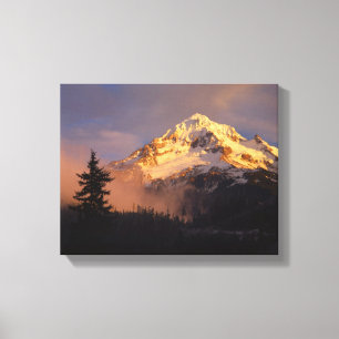 Toile États-Unis, Oregon, Mt. Hood National Forest. En r