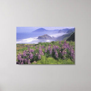 Toile États-Unis, Oregon, Nesika Beach. Lupin et Oregon