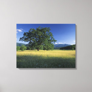 Toile États-Unis, Tennessee. Great Smokey Mountains 2