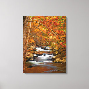Toile États-Unis, Tennessee. Rushing Mountain Creek