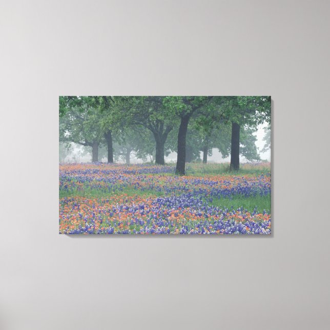Toile États-Unis, Texas, Texas Hill Country (Recto)