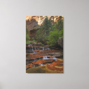 Toile États-Unis, Utah, parc national de Zion.  Scénique