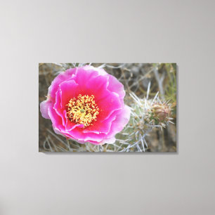 Toile États-Unis, Utah, Pôle Nord des Canyonlands, Prick