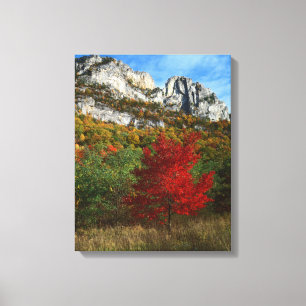 Toile États-Unis, Virginie-Occidentale, Spruce Knob-Sene