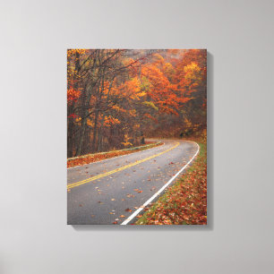 Toile États-Unis, Virginie, Parc national de Shenandoah,