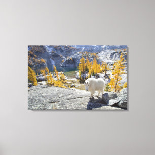 Toile États-Unis, WA, Alpine Lakes WIlderness Enchantmen