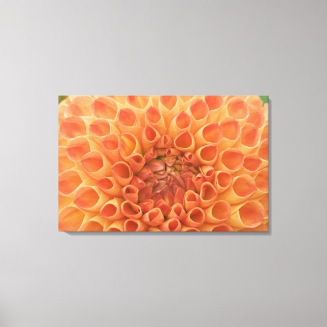 Toile États-Unis, Washington, Bellevue, Bellevue Botanic (Recto)