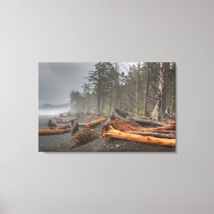 Toile États-Unis, Washington, Parc national Olympique, R