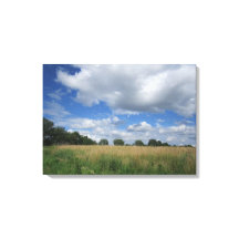 Été Iowa Prairie Canvas Imprimer