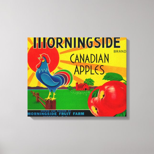 Toile Étiquette de la pomme de Morningside Canada (Recto)