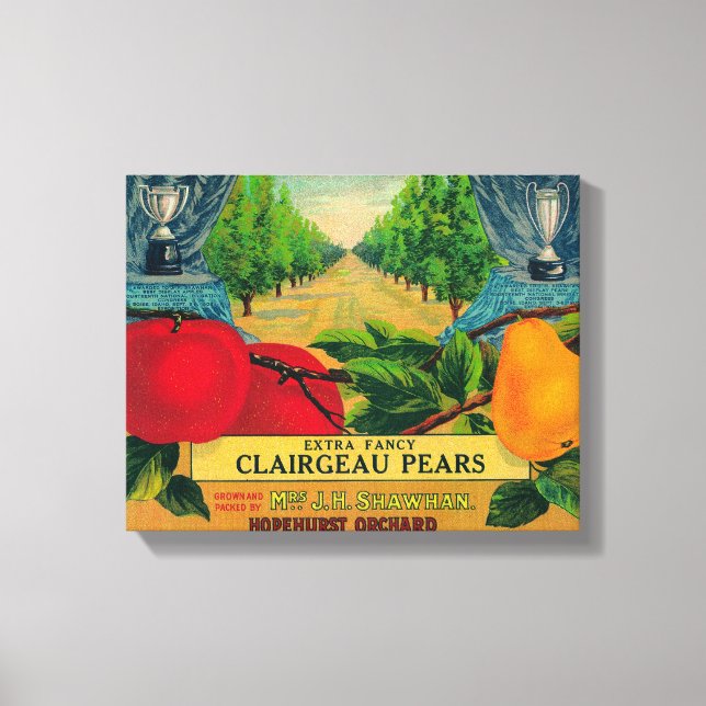 Toile ÉtiquettePayette, ID (Recto)