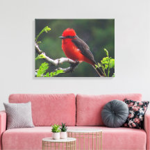 Toile étirée de l'oeil à l'oeil