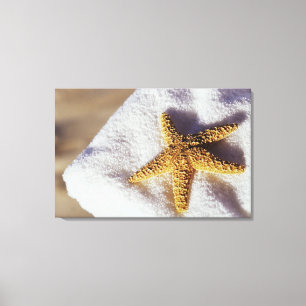 Toile Étoiles de mer sur une serviette