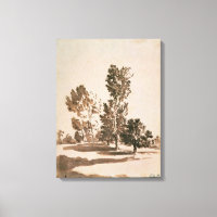 Étude d'arbre (stylo et encre sur papier)