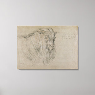 Toile Étude de la tête d'une RAM (noir, sanguin et pet