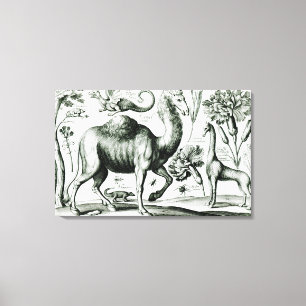 Toile Étude des animaux et des fleurs, gravée