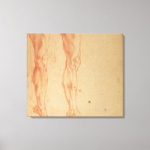Toile Études des jambes et des bras