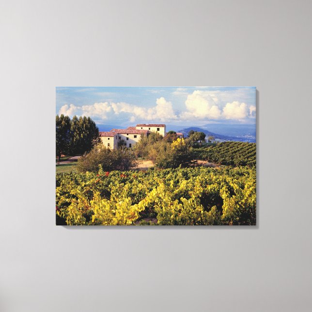 Toile Europe, France, Bonnieux. Les vignobles couvrent (Recto)