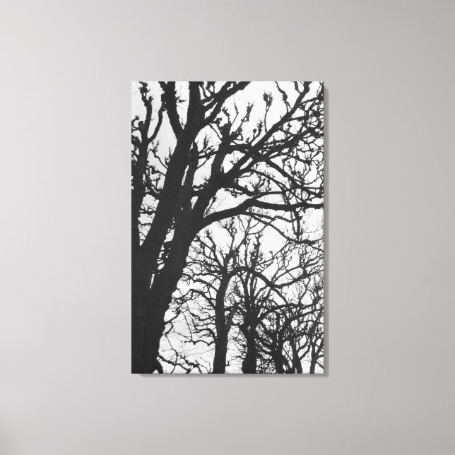 Toile Europe, France, Paris. Les arbres d'hiver, Marco (Recto)