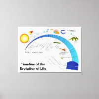 Évolution de la vie sur Terre Diagramme chronologi