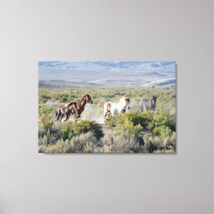 Toile Exécuter Free Forever