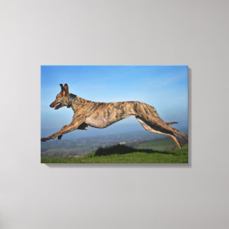 Toile Exécution de Lurcher brodé