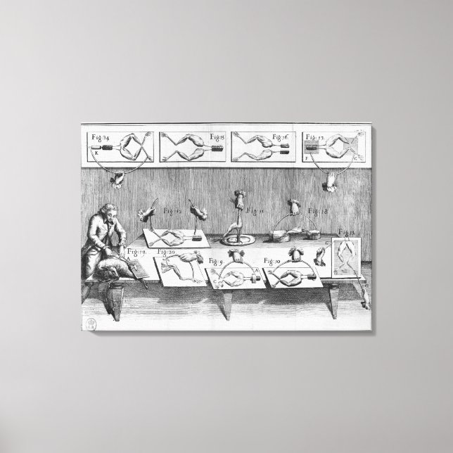 Toile Expérience sur les grenouilles (Recto)