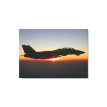 F-14 Tomcat Fighter Jet au-dessus de l'Afghanistan
