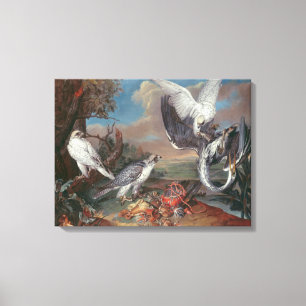 Toile Falcons du Groenland Cyr