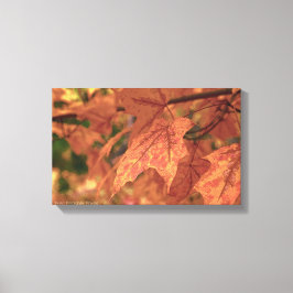 Toile Fall Maple Feuille HDR